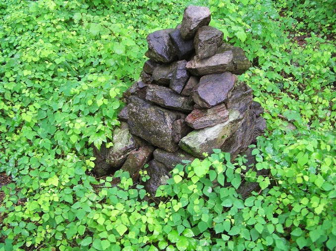 Cairn surrounded by ground covers, some native and nitrogen fixers. 